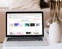 Why WordPress is Great for Beginner Bloggers